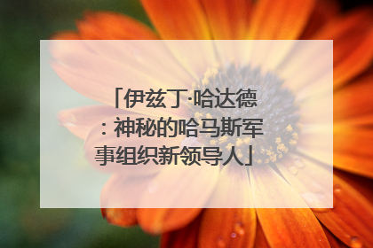 伊兹丁·哈达德：神秘的哈马斯军事组织新领导人