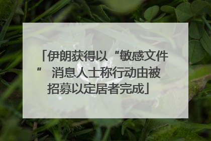 伊朗获得以“敏感文件” 消息人士称行动由被招募以定居者完成