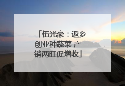 伍光豪：返乡创业种蔬菜 产销两旺促增收