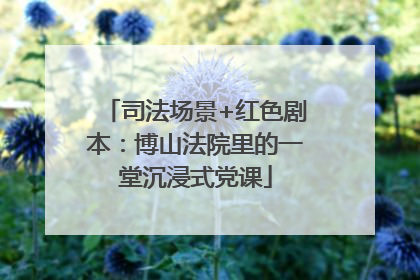 司法场景+红色剧本：博山法院里的一堂沉浸式党课