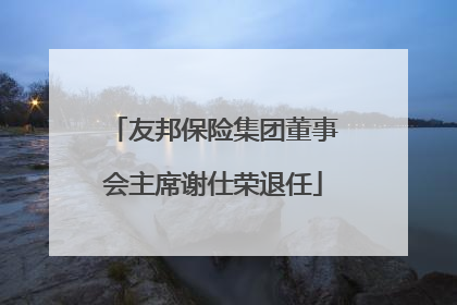 友邦保险集团董事会主席谢仕荣退任