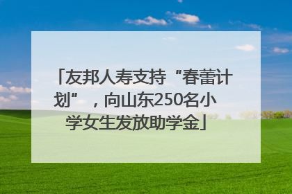 友邦人寿支持“春蕾计划”，向山东250名小学女生发放助学金