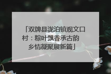 双牌县泷泊镇观文口村：粽叶飘香承古韵 乡情凝聚展新篇