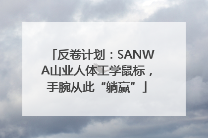 反卷计划：SANWA山业人体工学鼠标，手腕从此“躺赢”
