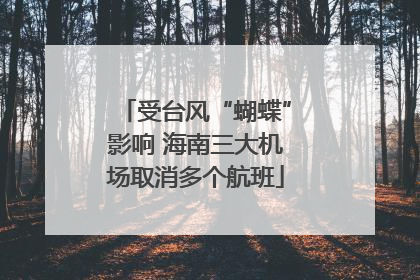 受台风“蝴蝶”影响 海南三大机场取消多个航班