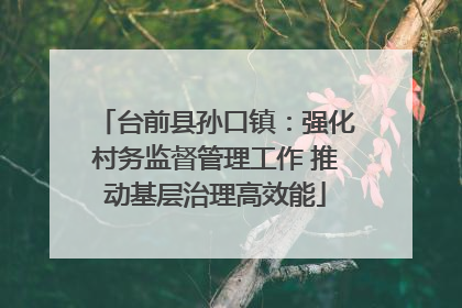 台前县孙口镇：强化村务监督管理工作 推动基层治理高效能