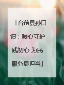 台前县孙口镇：暖心守护践初心 为民服务显担当
