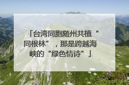 台湾同胞随州共植“同根林”，那是跨越海峡的“绿色情诗”