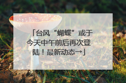 台风“蝴蝶”或于今天中午前后再次登陆！最新动态→