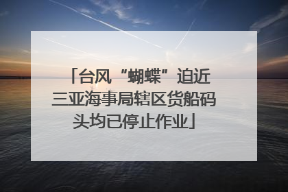 台风“蝴蝶”迫近 三亚海事局辖区货船码头均已停止作业