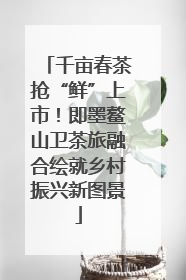 千亩春茶抢“鲜”上市！即墨鳌山卫茶旅融合绘就乡村振兴新图景