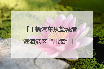 千辆汽车从盐城港滨海港区“出海”