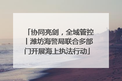 协同亮剑，全域管控丨潍坊海警局联合多部门开展海上执法行动