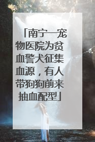 南宁一宠物医院为贫血警犬征集血源，有人带狗狗前来抽血配型