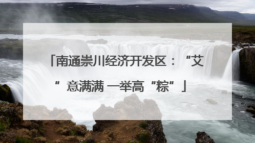 南通崇川经济开发区：“艾”意满满 一举高“粽”