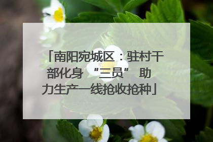 南阳宛城区：驻村干部化身 “三员” 助力生产一线抢收抢种