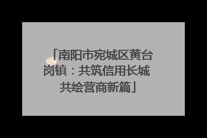 南阳市宛城区黄台岗镇：共筑信用长城 共绘营商新篇