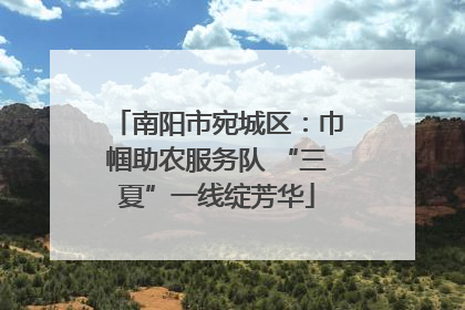 南阳市宛城区：巾帼助农服务队 “三夏”一线绽芳华