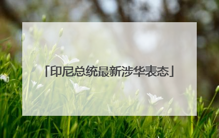 印尼总统最新涉华表态