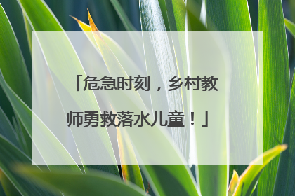 危急时刻，乡村教师勇救落水儿童！