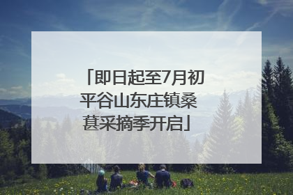 即日起至7月初 平谷山东庄镇桑葚采摘季开启