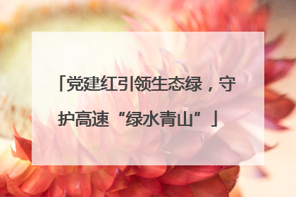 党建红引领生态绿，守护高速“绿水青山”
