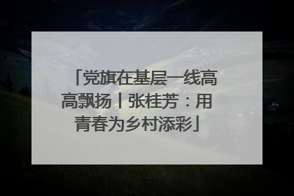 党旗在基层一线高高飘扬丨张桂芳：用青春为乡村添彩
