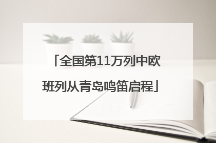 全国第11万列中欧班列从青岛鸣笛启程
