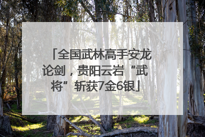 全国武林高手安龙论剑，贵阳云岩“武将”斩获7金6银