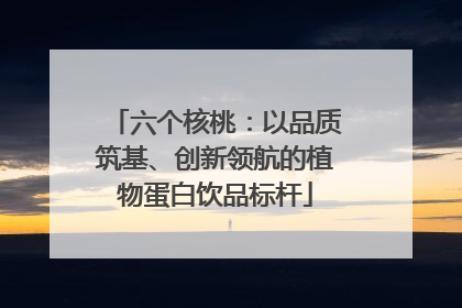 六个核桃：以品质筑基、创新领航的植物蛋白饮品标杆