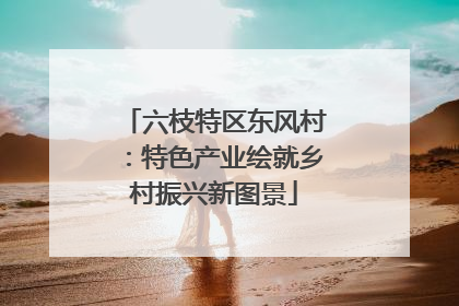 六枝特区东风村：特色产业绘就乡村振兴新图景