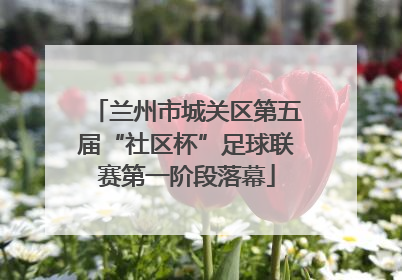 兰州市城关区第五届“社区杯”足球联赛第一阶段落幕