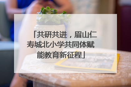 共研共进，眉山仁寿城北小学共同体赋能教育新征程