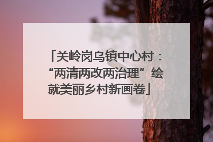 关岭岗乌镇中心村：“两清两改两治理”绘就美丽乡村新画卷