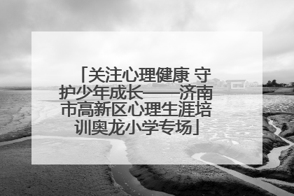 关注心理健康 守护少年成长——济南市高新区心理生涯培训奥龙小学专场