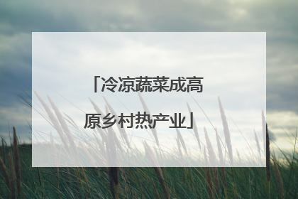 冷凉蔬菜成高原乡村热产业