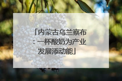 内蒙古乌兰察布：一杯酸奶为产业发展添动能