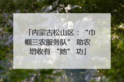 内蒙古松山区：“巾帼三农服务队” 助农增收有 “她” 功