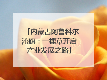 内蒙古阿鲁科尔沁旗：一棵草开启产业发展之路