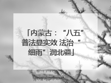 内蒙古：“八五”普法显实效 法治“细雨”润北疆