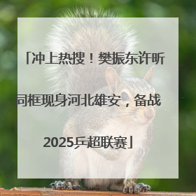 冲上热搜！樊振东许昕同框现身河北雄安，备战2025乒超联赛