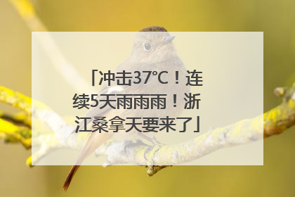冲击37℃！连续5天雨雨雨！浙江桑拿天要来了