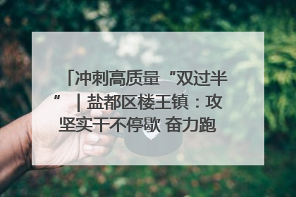 冲刺高质量“双过半”｜盐都区楼王镇：攻坚实干不停歇 奋力跑赢“上半场”