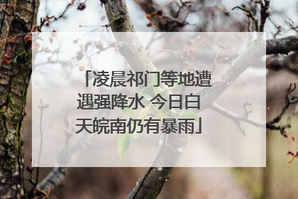 凌晨祁门等地遭遇强降水 今日白天皖南仍有暴雨