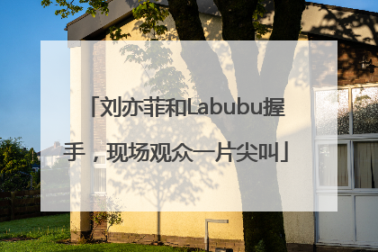 刘亦菲和Labubu握手，现场观众一片尖叫
