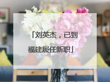 刘英杰，已到福建履任新职