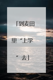 到麦田里“上学”去