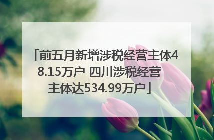 前五月新增涉税经营主体48.15万户 四川涉税经营主体达534.99万户