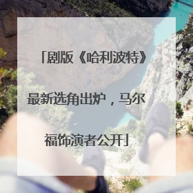 剧版《哈利波特》最新选角出炉，马尔福饰演者公开