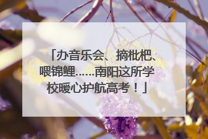办音乐会、摘枇杷、喂锦鲤……南阳这所学校暖心护航高考！